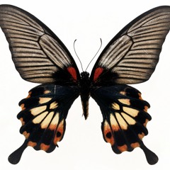 Just Chill -- Andree Ft. DSK Ft. Enbien