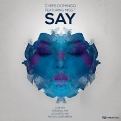Chris Domingo & Miss T - Say (Original Mix) [Clip]