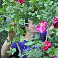 nino berianidze- miende fesvebs da frtebs