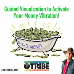 MONEY Visualization