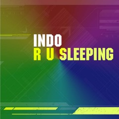 PUNANI " R U SLEEPING " (CHARLES JAY REMIX)