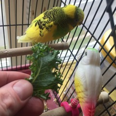 Can't Decide (which One I Like Better Now)