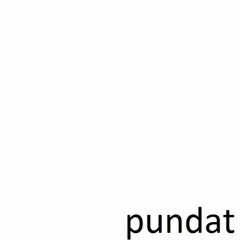 Pundat - Pundemonium