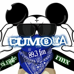 SABOR DE TURRA - EL RAGE RMX CUMBIA MIX