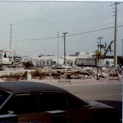 miami! (it ain't life)