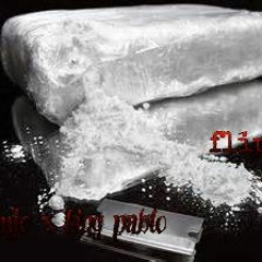 kujo x king pablo - flippin'