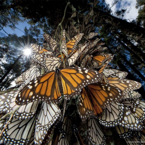 MWD ∞ 10/10/15 ∞ Beautiful Music Daily
