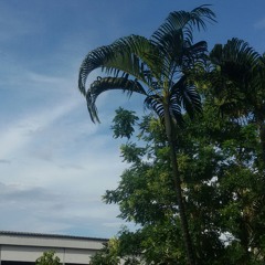 คำยินดี Klear (cover)   ร้องเล่นๆนะจ้าา