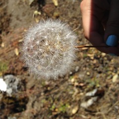 New Year's Resolution