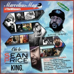 Marvelous Mag + John Robinson (prod. Aneeway Jones), ode to Sean Price - welcome to Brownsville
