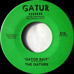 Gator Bait (SPGroove Extended) refined