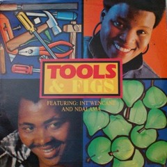 groovy/house/nu-disco/disco