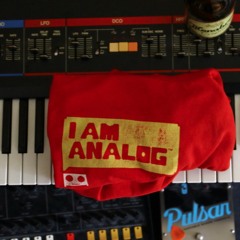 I AM ANALOG