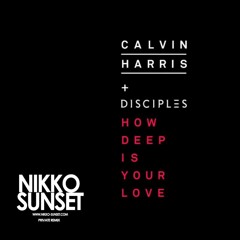 Calvin Harris & Disciples - How Deep Is Your Love (Nikko Sunset Private Remix)