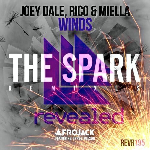 Joey Dale vs. Tiesto & Twoloud - The Spark Of Winds (Boding Mashup)