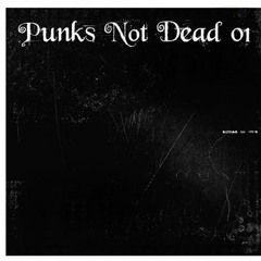 Anarcho-Punk/Crust/D-beat/anarchist folk punk/leftist music