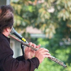 Flute Vol - Iowa Flutes Maize