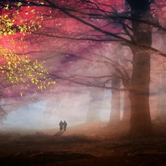 شعر ..