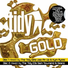 Tidy Gold disc 2