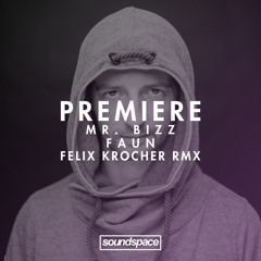 Premiere: Mr. Bizz - Faun (Felix Kroecher Remix)