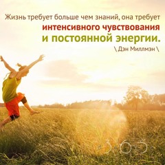 Цитата о жизни