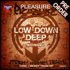 Pleasure 'Torn' / 'Money Train VIP' Low Down Deep Recordings 049