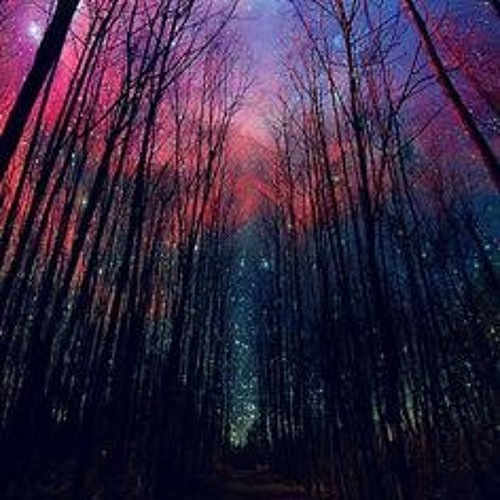 MIDmusic & Transatlanticism - Ghost Forest