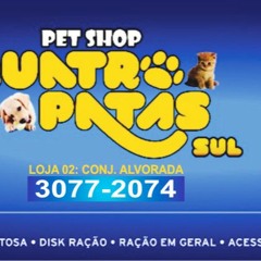 PET SHOP     TACO       Volante # OK