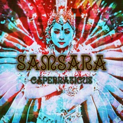 Samsara (Look At All Those Chickens)