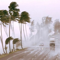 Tropical Storm