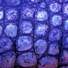 DIR EN GREY - 鱗 Uroko (Instrumental Cover) by Amagaeru