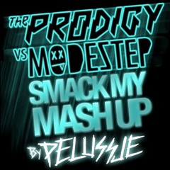 Smack my Mash-Up (Prodigy VS Modestep) - PELUSSJE Mash-Up [Nov 2011]