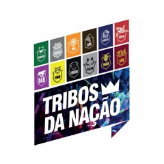 Dj Robinho (Feat Marlon Estiano e Alex Coelho) Ô Mãe - Tribos Da Nação