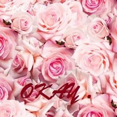 Vigiland Vs The Chainsmokers Vs Madison Mars - Roses Okay Theme ( Aradoxx Mash Up).