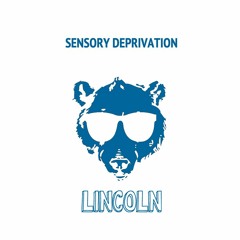 Sensory Deprivation — Lincoln Please