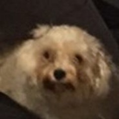 All Credit Goes To Jody