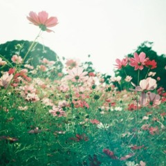 Happy Music