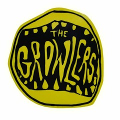 Sunset Girl - The Growlers