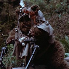Ewok Stole My Speeder Bike