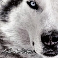 Jax - Lobo Solitário