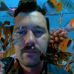 new mountain 2015 - 10 - 09