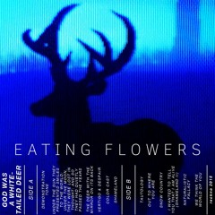 Eating Flowers - Naturalistic Fallacy