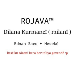 Dilana kürmanci