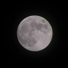 KUBES x Honeydip---Its - The - Moonlight