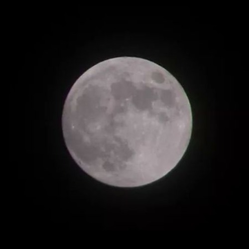 KUBES x Honeydip---Its - The - Moonlight