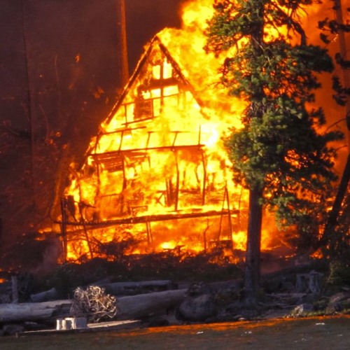 Cabin Fever (Original Track)