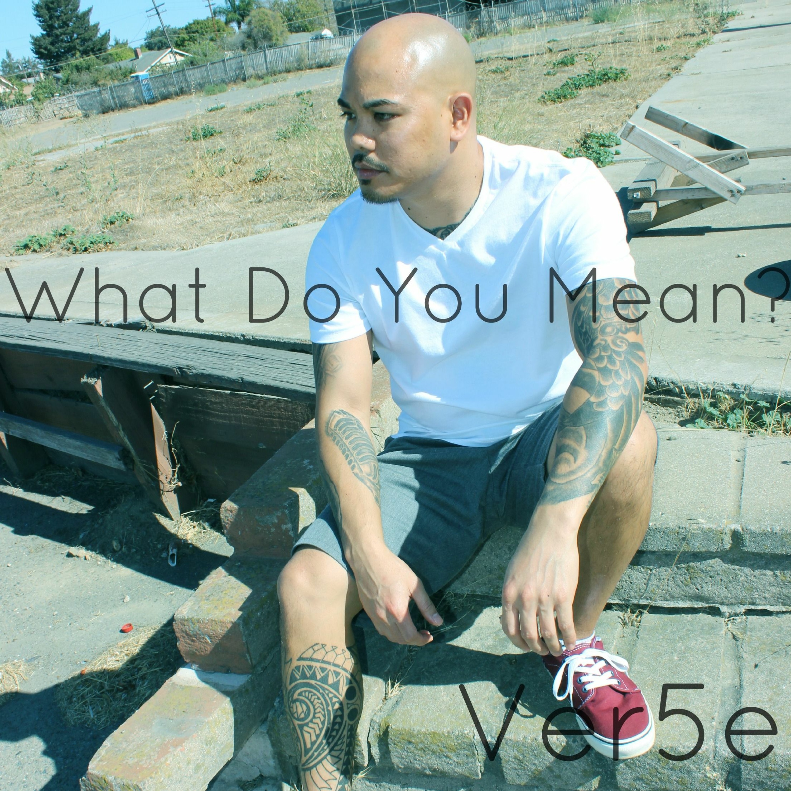 What Do You Mean - (Justin Bieber) cover - Ver5e episode artwork