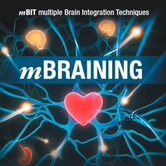 Sully MBIT Interview