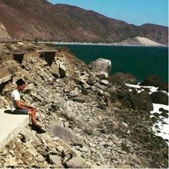 JngleFver Zavy x Vauni