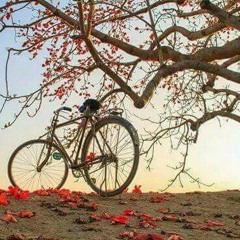 ဆူး-မိမာ.mp3